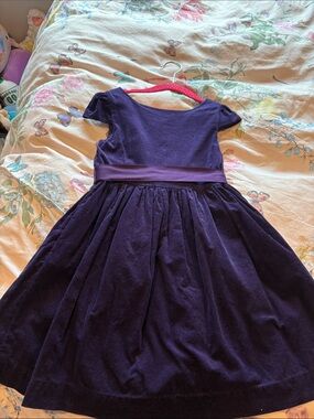 Polo by Ralph Lauren Girls Purple Velvet Waistband Dress